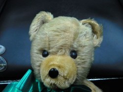 beige bear green ribbon face